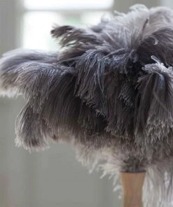 Cookware Andree Jardin Ostrich Feather Duster