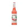 Ingredients Monin Watermelon Syrup 70cl