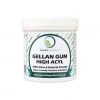 Special Ingredients Ingredients High Acyl Gellan Gum LT100 100g