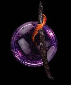 Molecule-R Gin And Tonic R-evolution 12 Molecule-R Gin And Tonic R-evolution