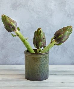 Ceramica Nicola Lagoa Kitchen Utensils Jar