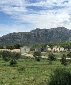 Grand Brahis AOP Vallee Des Baux De Provence Extra Virgin Olive Oil Duo 250ml X 2