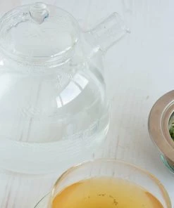 Trendglas Glass Stovetop Kettle 1.75 Litres