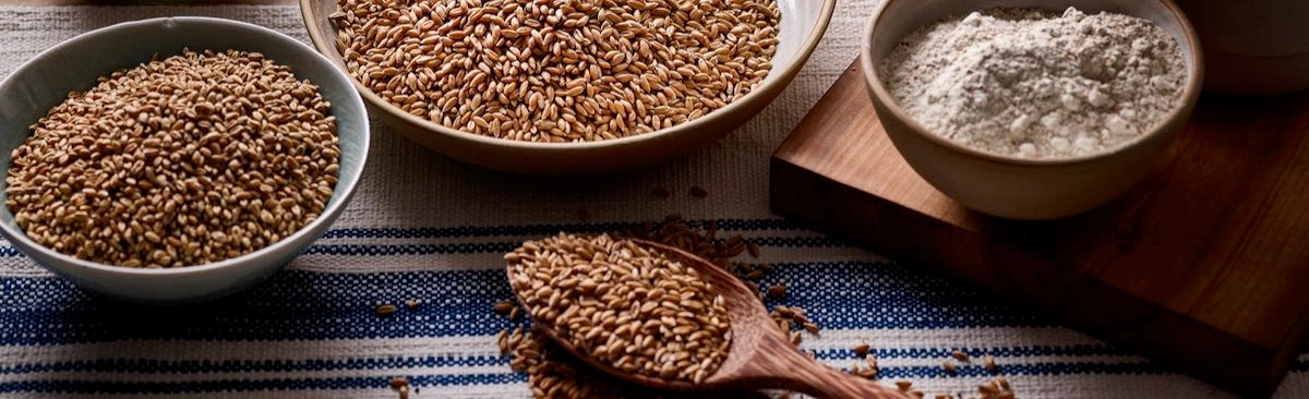 Sous Chef Shop -Sous Chef Shop bbits braz169489 1